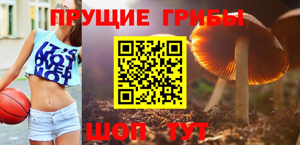 Галлюциногенные грибы мицелий  закладки  Галлюциногенные грибы GOLDEN TEACHER  Фролово  Вход с VPN 