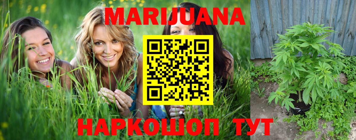 Бошки Шишки White Widow Фролово